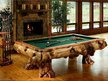 poolfool