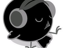 maebird52