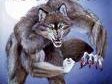 werewolfguy2013