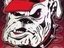 *Chris*Go Dawgs ! (Fan)