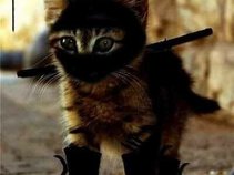 NinjaKitty