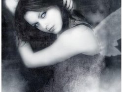 Sondra764