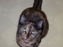 TheKat