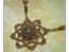 StarSunflower (Fan)
