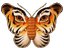 ButterflyDrizzle (Fan)