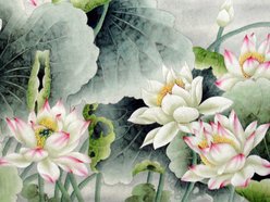 Bay Lotus Flowers