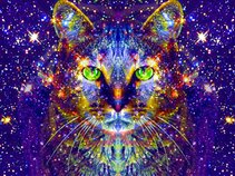 Ezelina Cat
