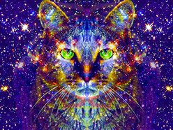 Ezelina Cat