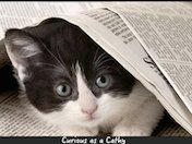 Cathy Kennedy