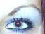 little_sharky (Fan)