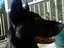 Reule (Fan)