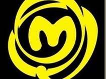marsupial magazine