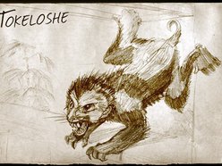 Tokeloshe