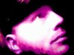 Cecil B. Demented/Marc J. Farr