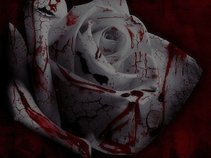 waynearto