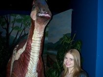 Tarah