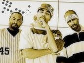 Multiple Records IRISH STREET TEAM