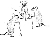 Blind Mice