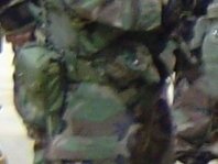 Berto