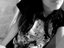 stephyrawrs (Fan)
