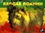 Fanta Reggae Lover (Fan)