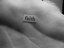 fairy__faith (Fan)