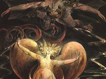 Angel#11