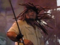 Reggae Rocker