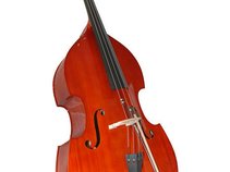 gitanir bass