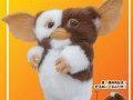 Gizmo5205