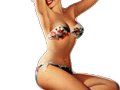 Pin up