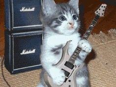 Project Metal Music