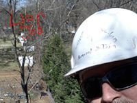 Low Cost Tree Removal