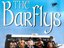the barflys (Fan)