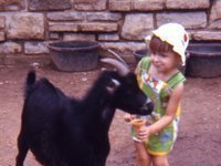 Kathe DeVault