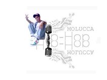 "Jong" Moluccass