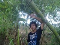 Kemo Gothess Javanesse Triplesix