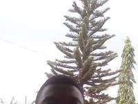 Harry Okyere Jnr