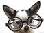meanmydog (Fan)