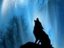 Tigercat_29 (Fan)