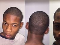 Bucktown Elex Knight