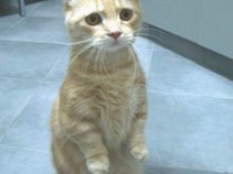 TwiggyW