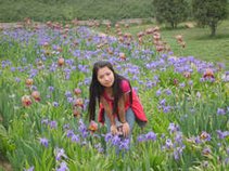 shirly--- xueyan