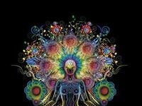 Caryn L. Cowin