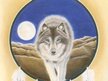 Apachahokee