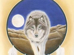 Apachahokee