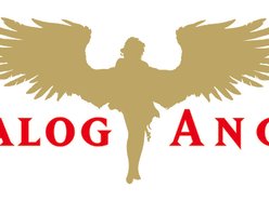 Analog Bear