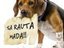 PUPPYDOG (Fan)