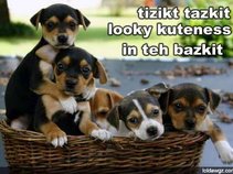 KarenRollins28