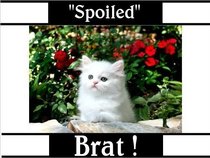Spoiled Brat 2